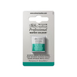 acuarela profesional winsor & newton media pastilla verde winsor matiz azul