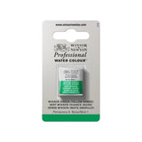 acuarela profesional winsor & newton media pastilla verde winsor