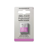 Acuarela Profesional Media Pastilla Winsor & Newton