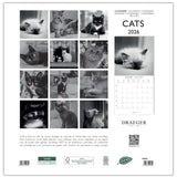 calendario grande de pared 2026 gatos en blanco y negro