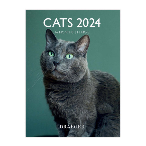Calendario Pequeño 2024 Gatos Draeger