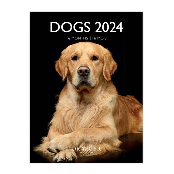 Calendario Pequeño 2024 Perros Draeger