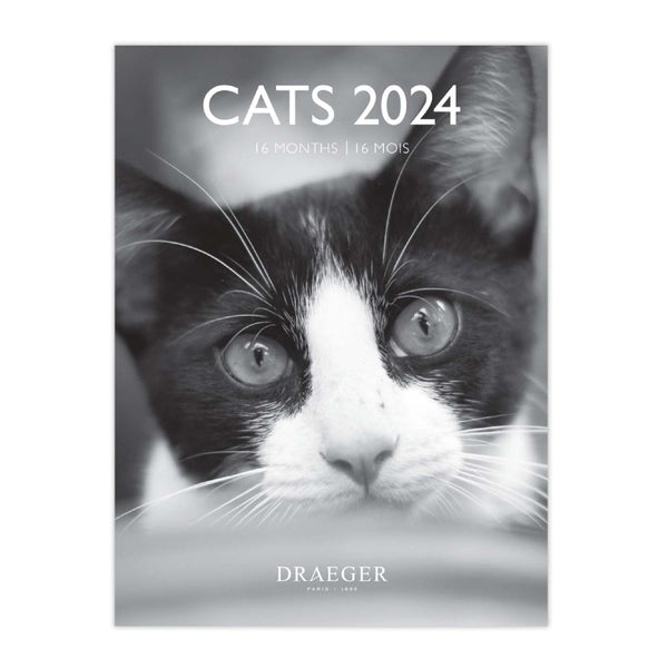 Calendario Pequeño 2024 Gatos Blanco y Negro Draeger