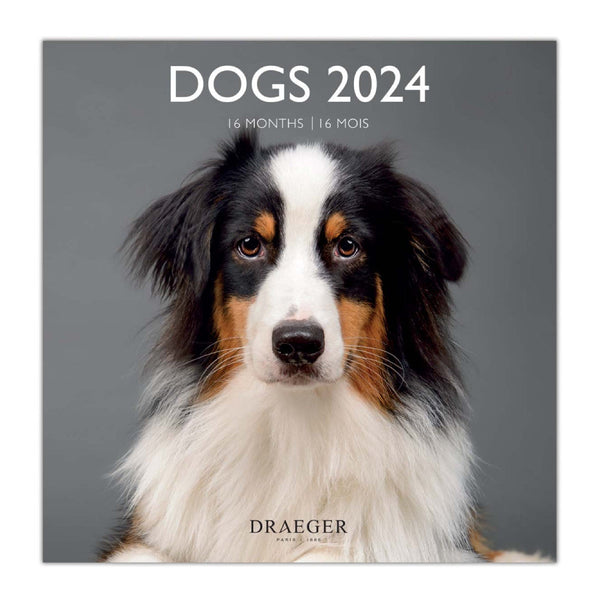 Calendario Grande 2024 Perros Draeger