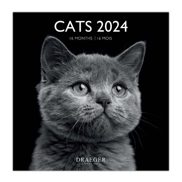 Calendario Grande 2024 Gatos Blanco y Negro Draeger