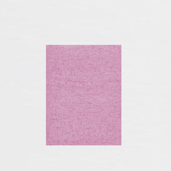 Hoja Décopatch 30x40cm Nº299