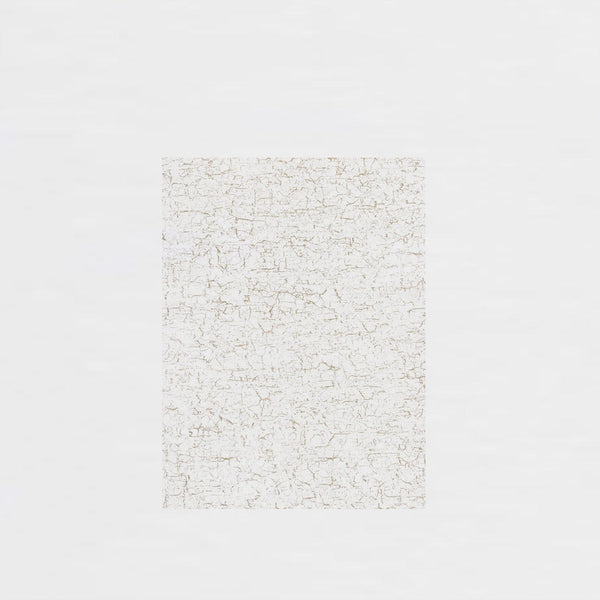 Hoja Décopatch 30x40cm Nº444