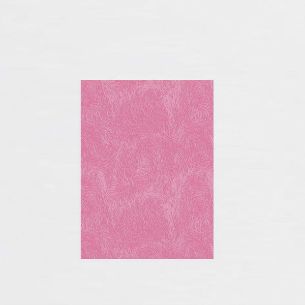 Hoja Décopatch 30x40cm Nº667