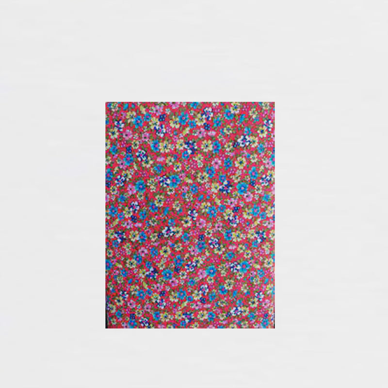 Hoja Décopatch 30x40cm Nº751