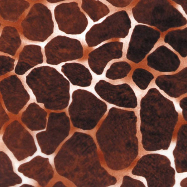 Hoja Jirafa Décopatch 30x40 cm Nº209 (1)