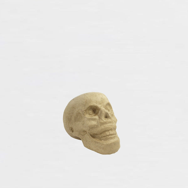 Calavera Mediana de Cartón Décopatch