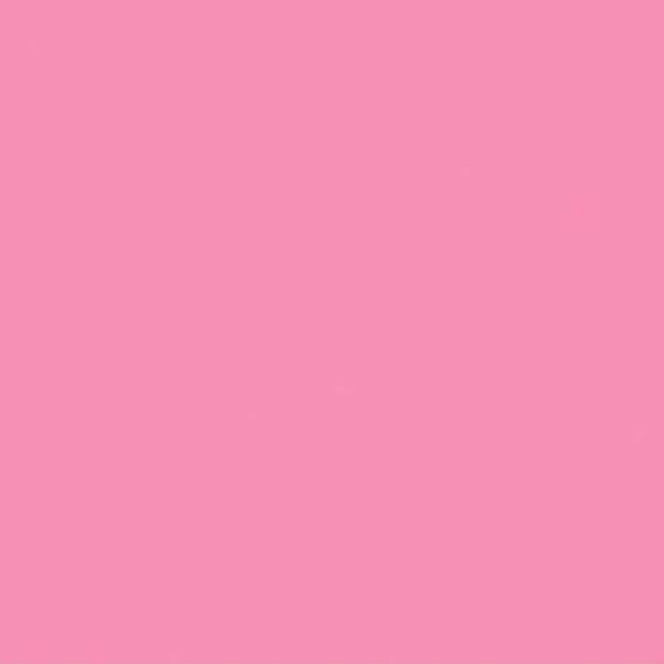 Cartulina Iris Rosa Chilcle 50x65 185gr Canson