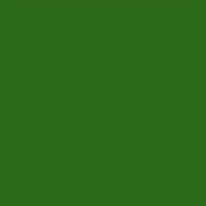 Cartulina Iris Verde Safari 50x65 185gr Canson