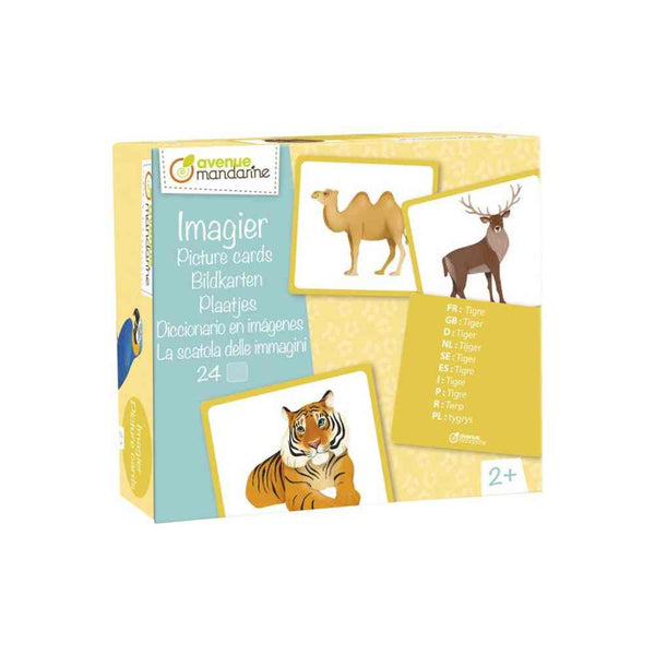 Caja Educativa Animales Avenue Mandarine (1)