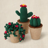Kit Crochet Cactus Amigurumis (2)