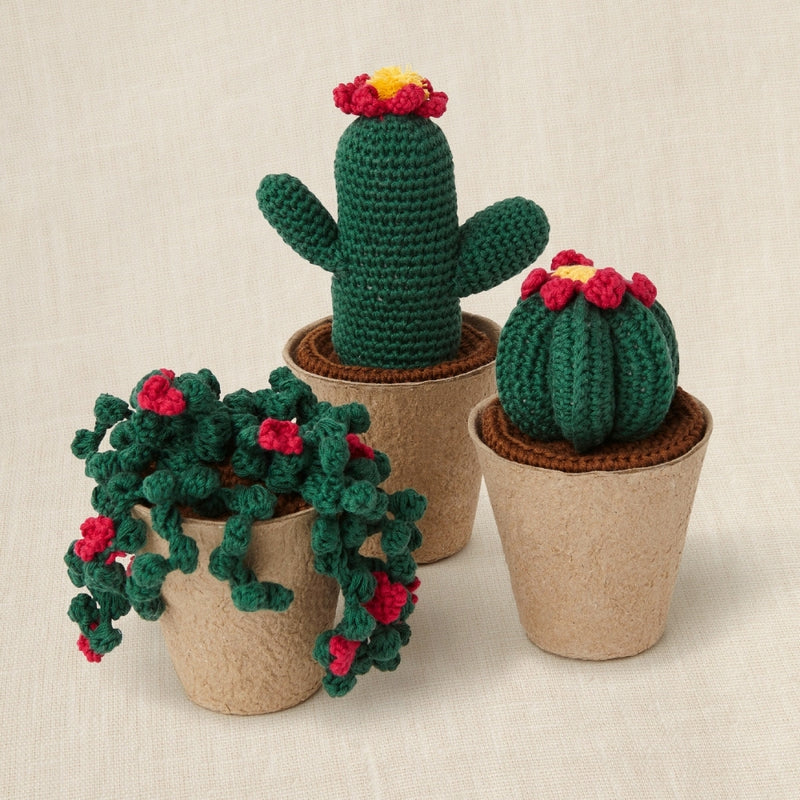 Kit Crochet Cactus Amigurumis (2)