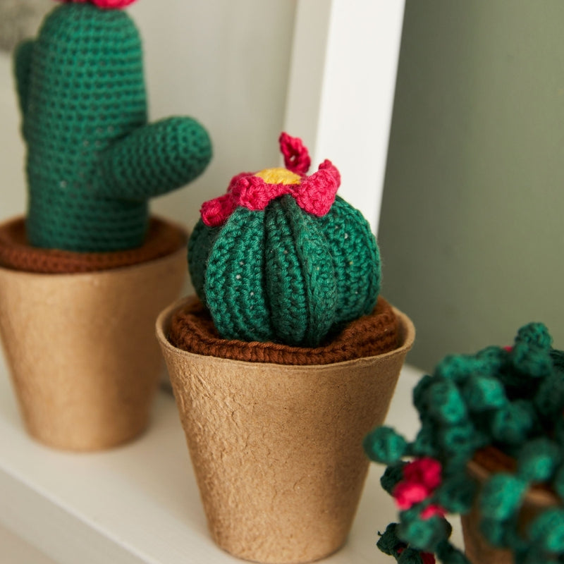 Kit Crochet Cactus Amigurumis (3)