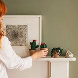 Kit Crochet Cactus Amigurumis (4)