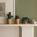 Kit Crochet Cactus Amigurumis (5)