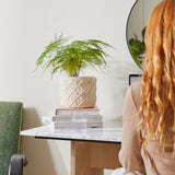 Kit Macramé Macetero Bohemia (3)