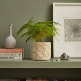 Kit Macramé Macetero Bohemia (4)