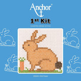 Kit Bordado Punto Cruz Rabbit Anchor (2)