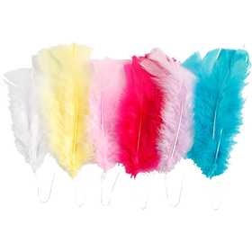 Plumas de Colores Creative Feathers