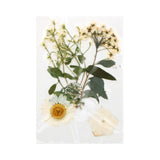 Set 5 Flores Prensadas Blancas (1)