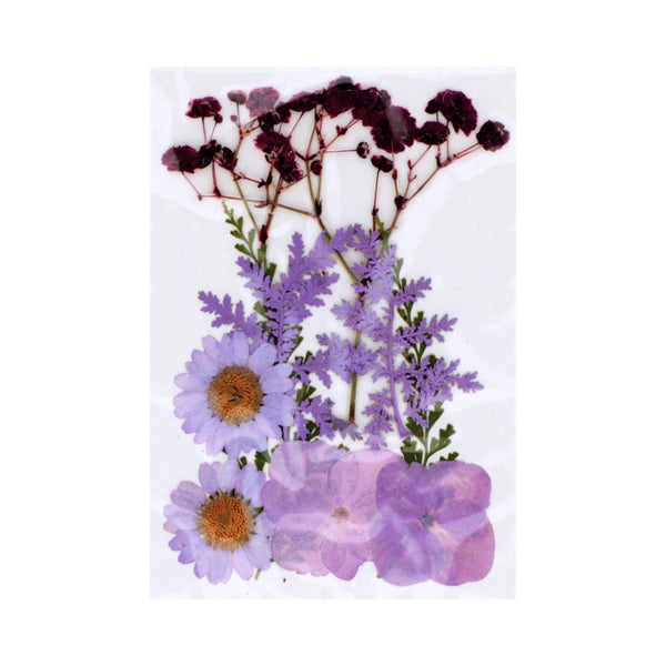 Set 10 Flores Prensadas Púrpura