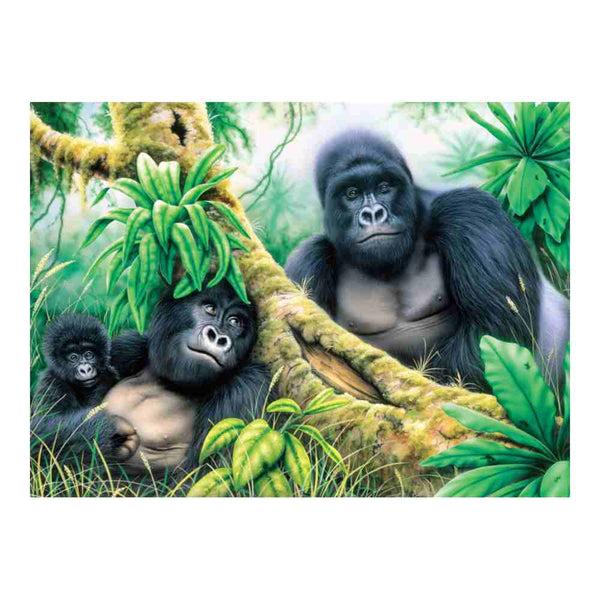 Set Pintar Por Números 13 Piezas Gorilas Royal & Langnickel (1)