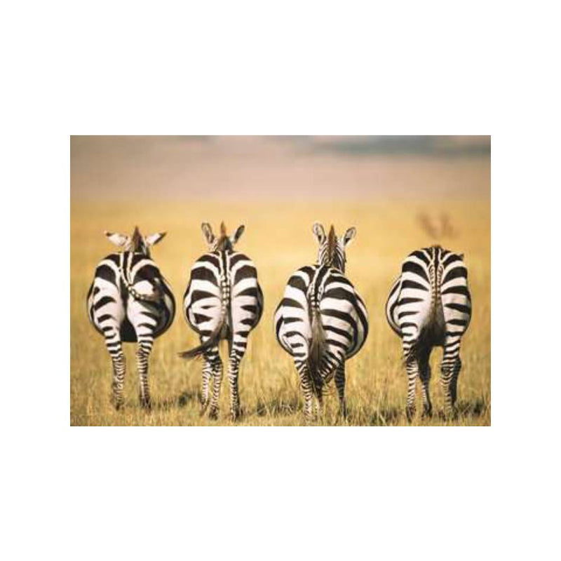 Puzzle 300 Piezas Zebra (1)