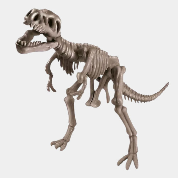 Maqueta Esqueleto Tiranosaurio Rex (1)