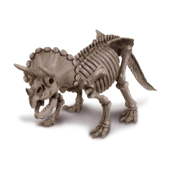 Maqueta Triceratops (1)