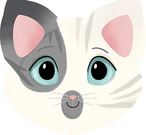Memory 'Gatos y Expresiones' Avenue Mandarine (1)