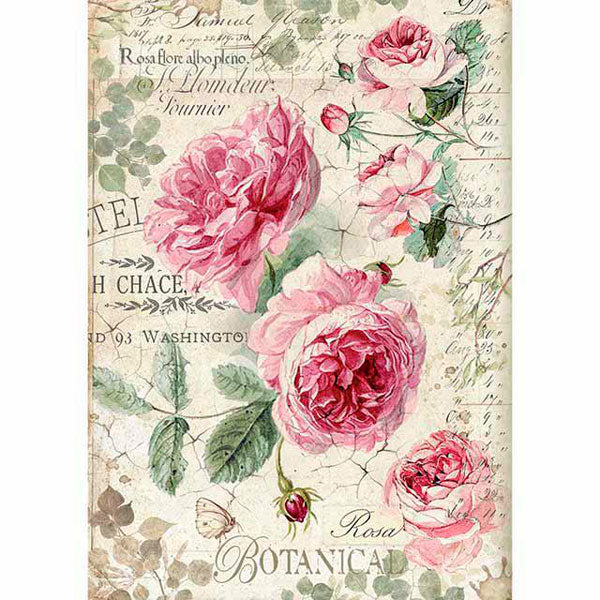 Papel Arroz Botanic English Roses A4 Stamperia